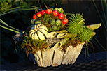 Workshop herfst 2019